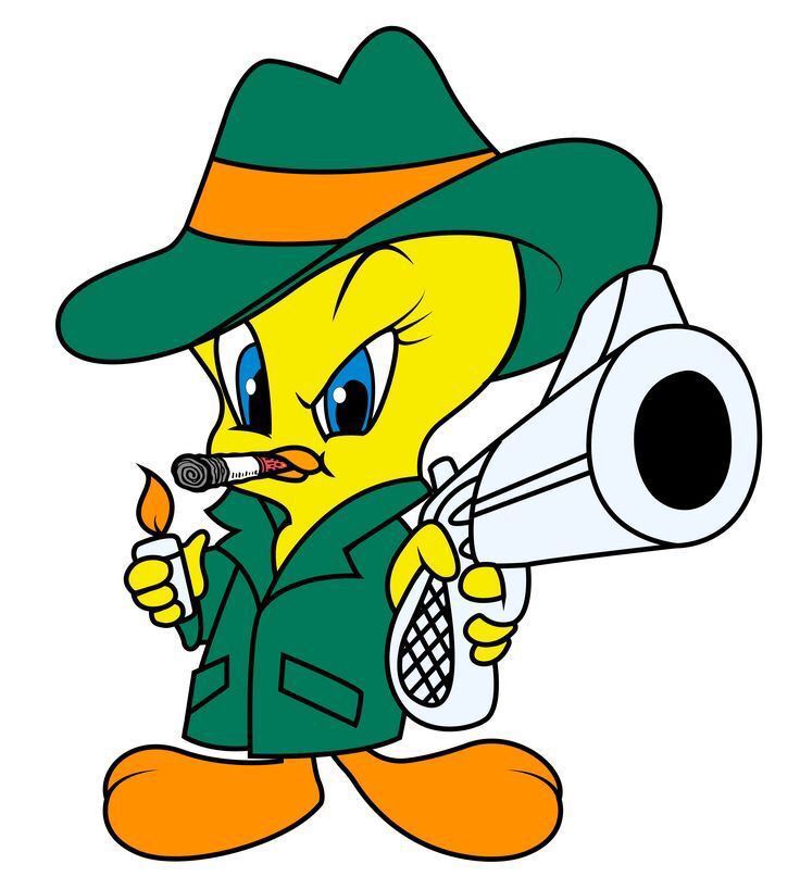 a cartoon duck wearing a green hat and holding a megaphone