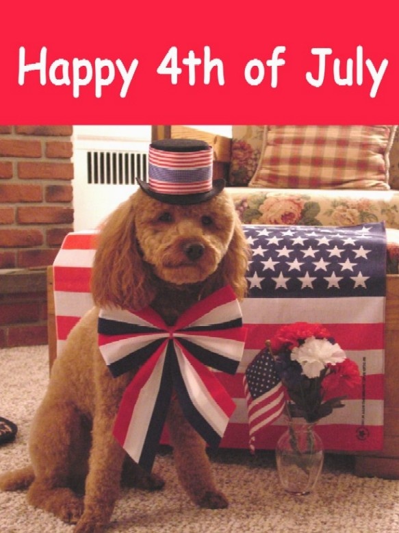 a poodle wearing a top hat and bow tie sitting in front of an american flag