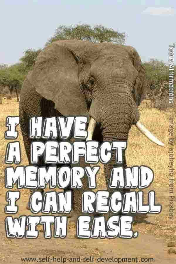 an elephant with the words i have a perfect memory and 3 can recall with ease