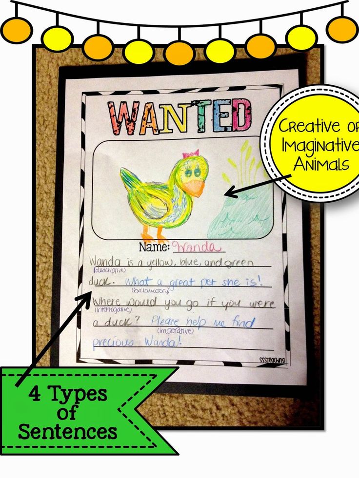 a poster with the words wanted and an image of a chicken on it that says, 4 types of sentences