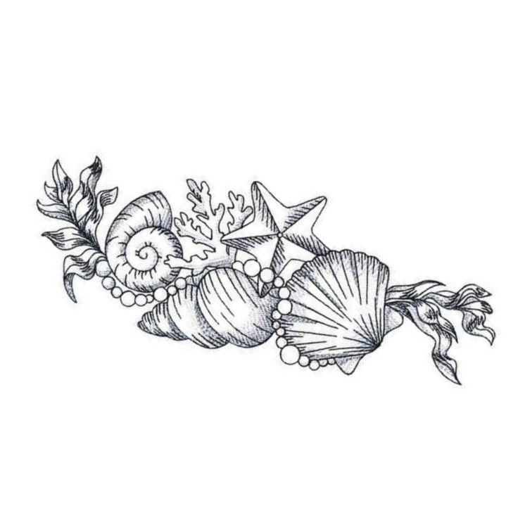 an ink drawing of seashells and starfish