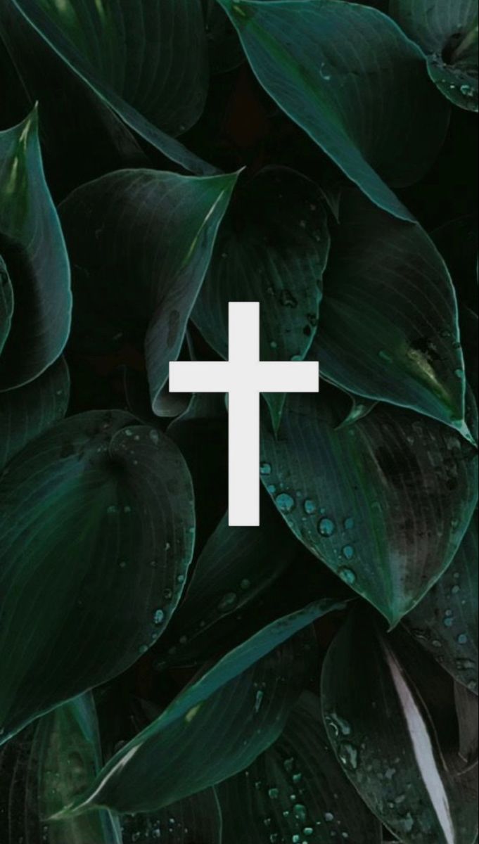 the cross is surrounded by green leaves and drops of water on it's surface