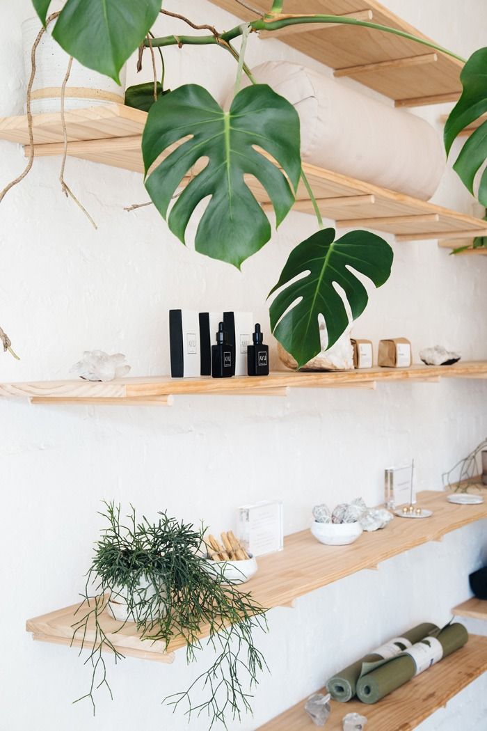 some shelves with plants and other items on them in a room that has white walls