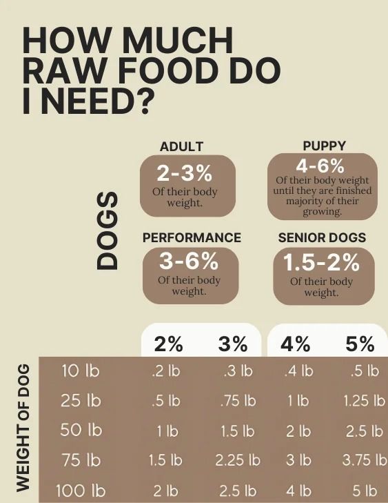 an info sheet showing how much raw food do i need