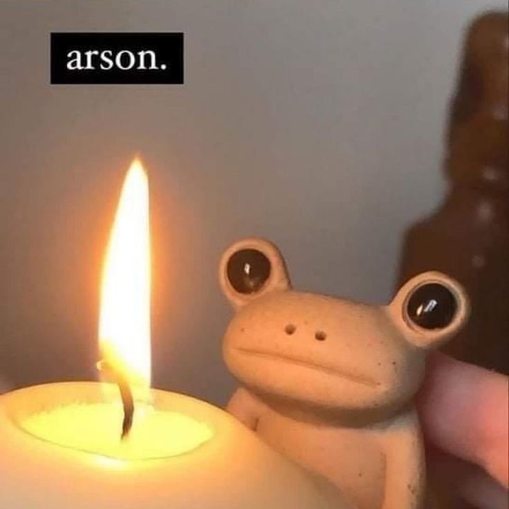 a frog sitting next to a lit candle with the caption, arson on it