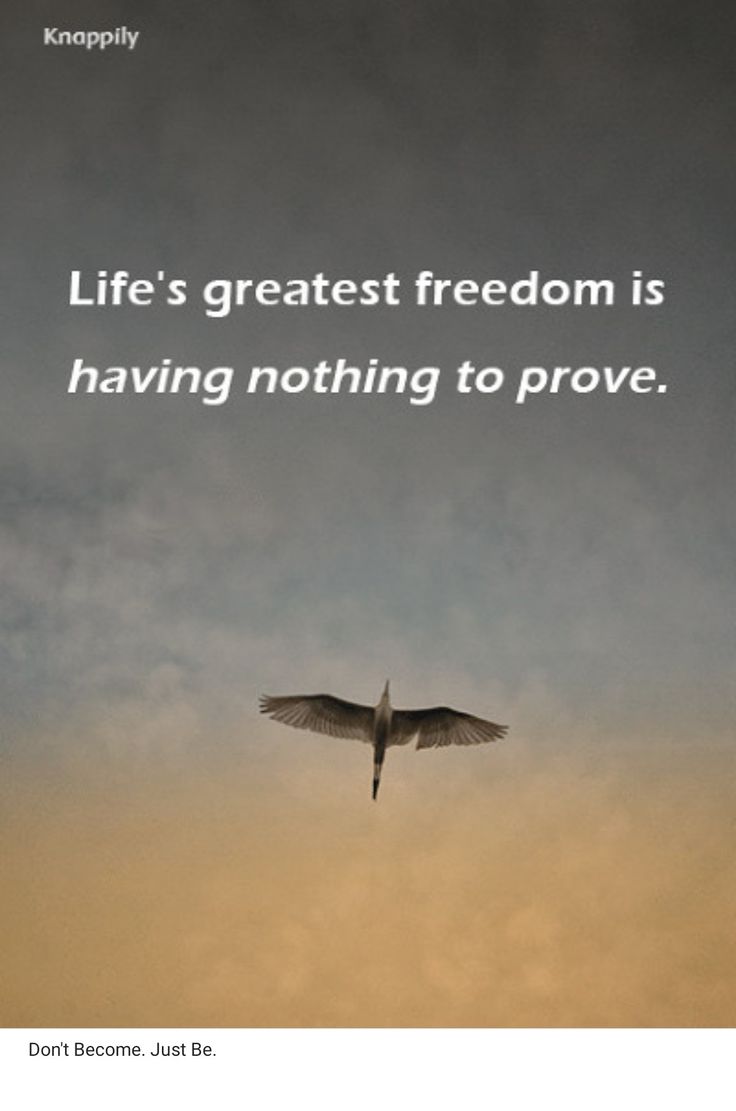 a bird flying in the sky with a quote on it that reads, life's greatest freedom is having nothing to prove