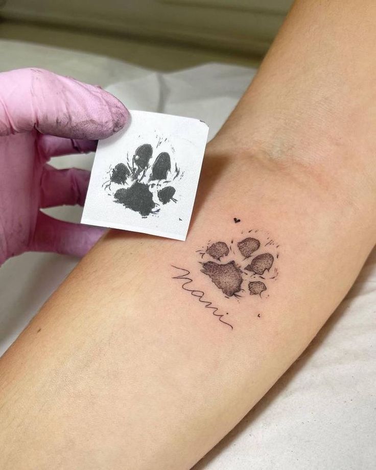 a person with a small tattoo on their arm and paw prints in the middle of it