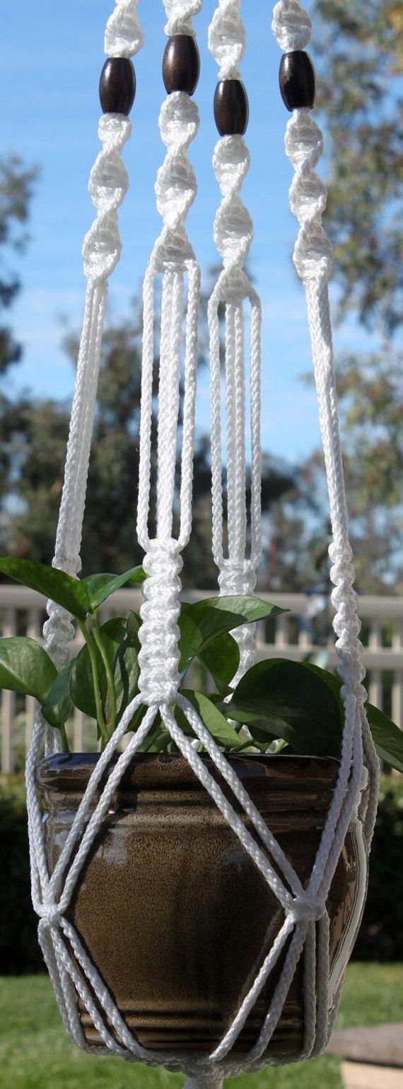 a potted plant with beads hanging from it