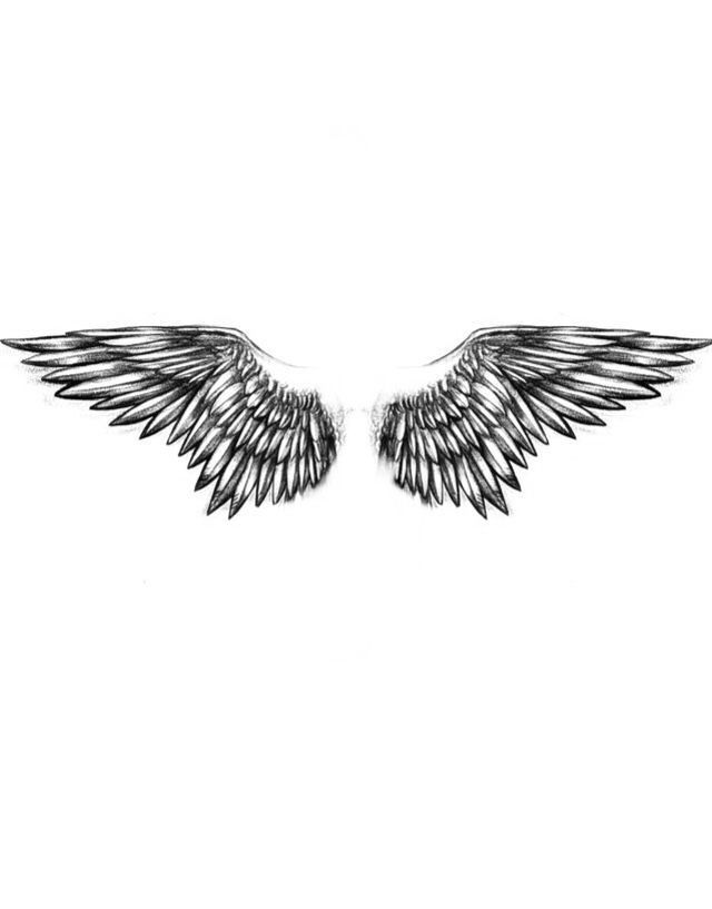 two black and white wings with a gold heart in the middle, on a white background