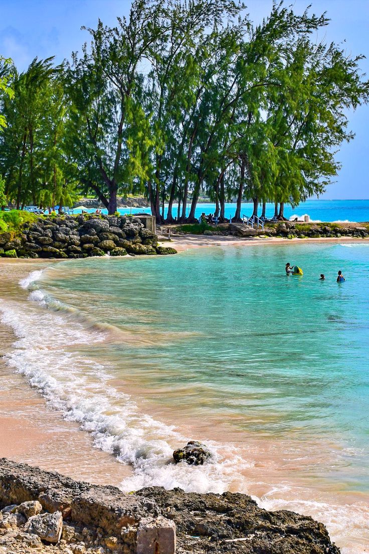 people are swimming in the ocean near some trees