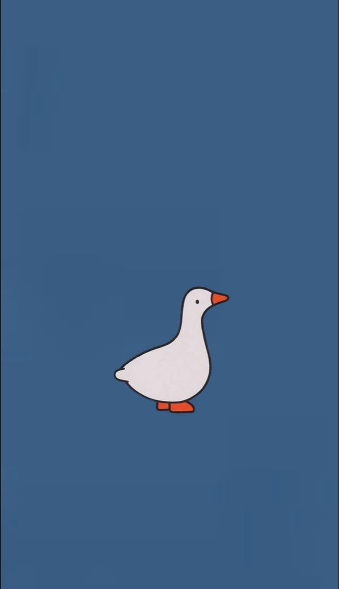 a white bird standing on top of a blue surface