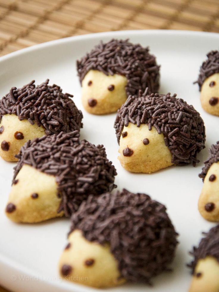 chocolate hedgehog cookies on a white plate