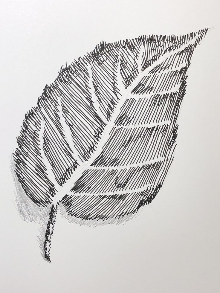 a black and white drawing of a leaf