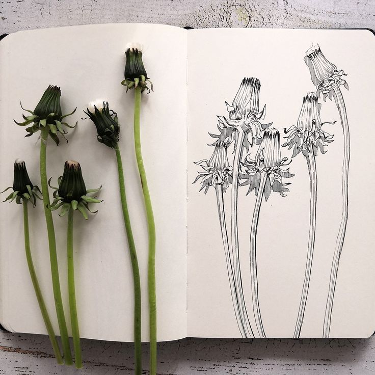 an open book with some flowers on it