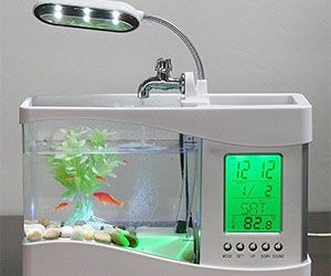 a fish tank with a clock on the side and a plant in it's bottom