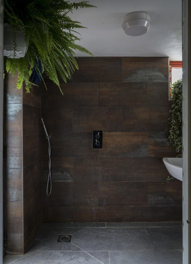 a bathroom with a plant in the corner and a shower head on the wall next to it