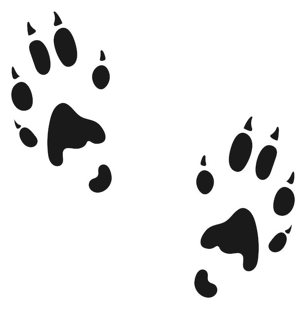 an animal's paw prints on a white background