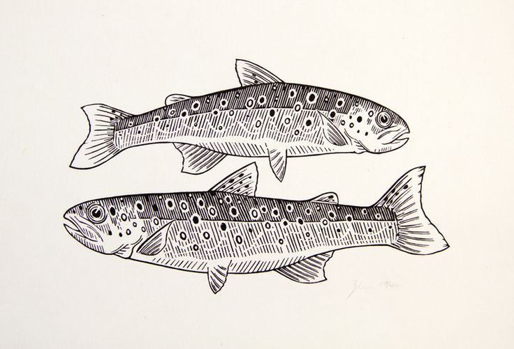 two fish that are standing next to each other on a white surface with black dots