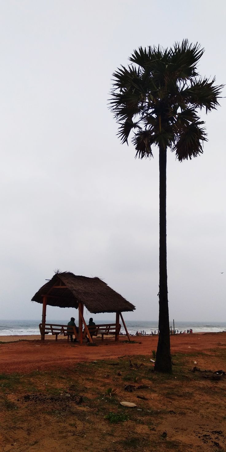 two people sitting at a picnic table under a palm tree next to the ocean on a cloudy day