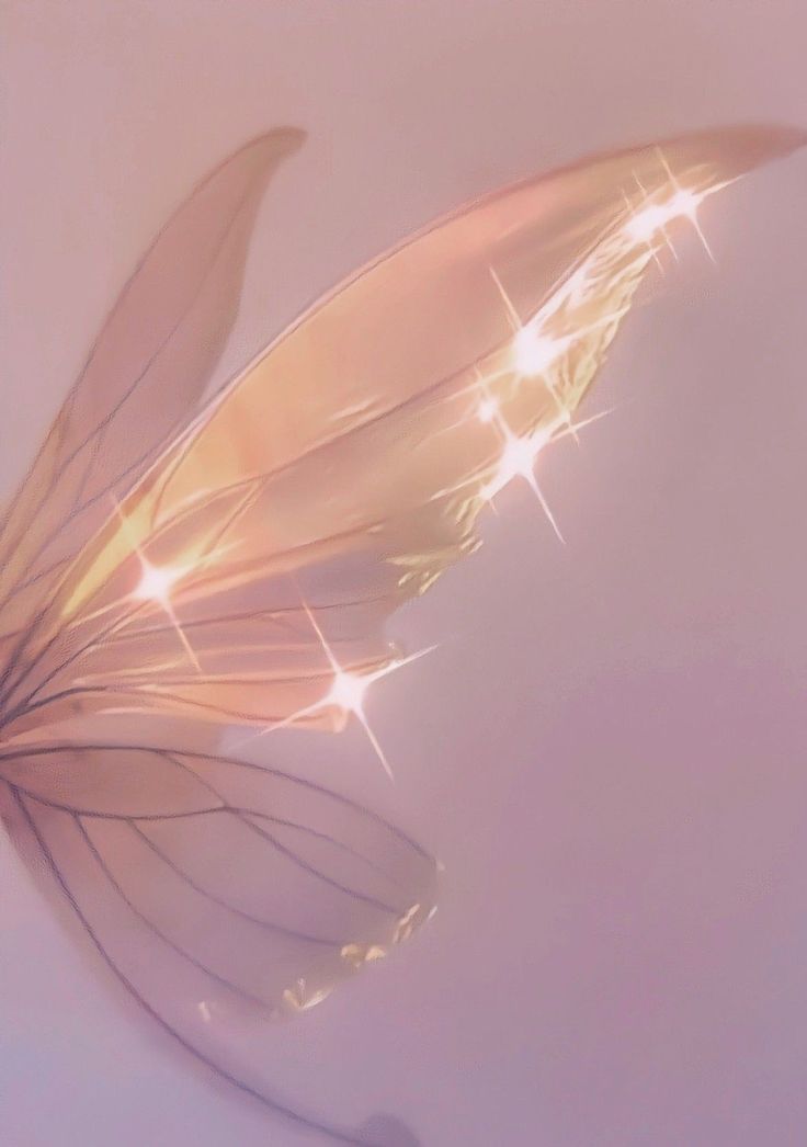 an artistic photograph of a feather on a white surface with light shining through the feathers