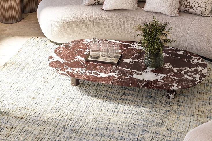 a living room with a couch, coffee table and plant on the rug in front of it