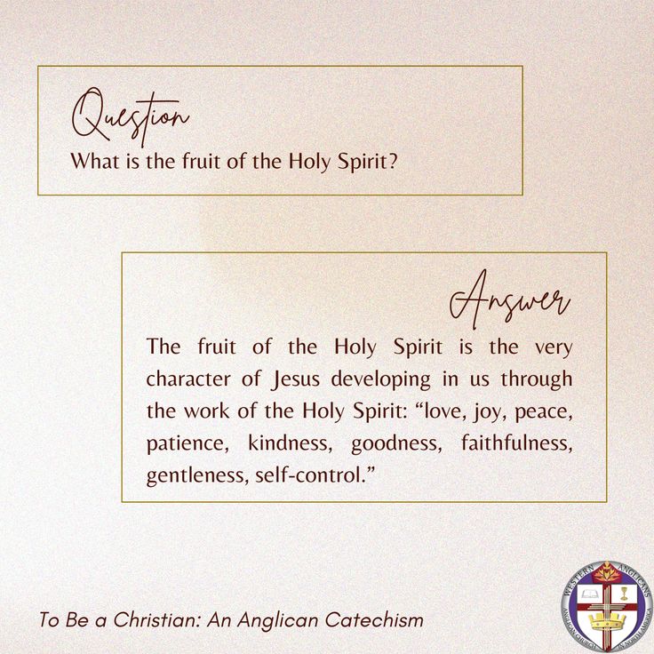 What is the fruit of the Holy Spirit?

The fruit of the Holy Spirit is the very character of Jesus developing in us through the work of the Holy Spirit: “love, joy, peace, patience, kindness, goodness, faithfulness, gentleness, self-control.” Fruits Of The Holy Spirit, Fruit Of Spirit Self Control, Self Control Fruit Of The Spirit, Fruits Of The Holy Spirit Catholic, Come Holy Spirit, Self Control, Holy Spirit, Jesus, Good Things