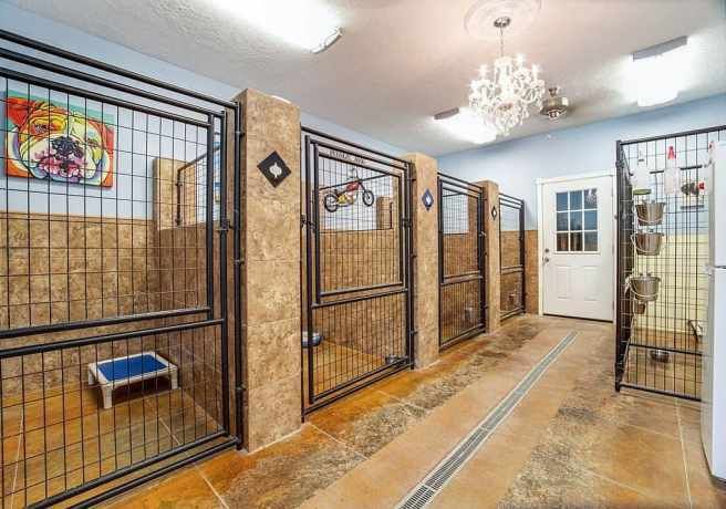 a room filled with lots of caged animals in front of a door and windows