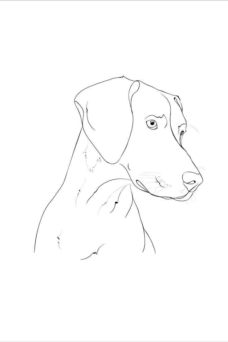 a black and white drawing of a dog