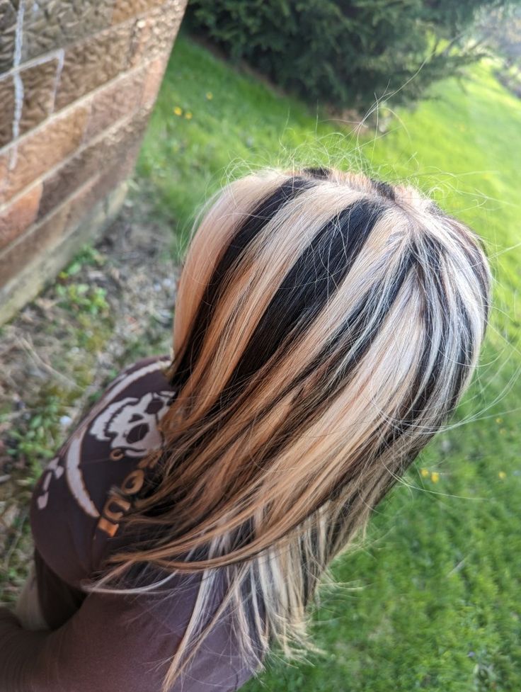 Blonde Hair With Black Streaks Y2k, Black Stripes In Blonde Hair, Skunk Streak Hair Blonde Highlights, Skunk Stripe Hair Y2k, Blonde Hair With Chunky Black Highlights, Skunk Hair More Blonde, Black Hair Skunk Highlights, Black Chunky Highlights On Blonde Hair, Black And Blonde Y2k Hair