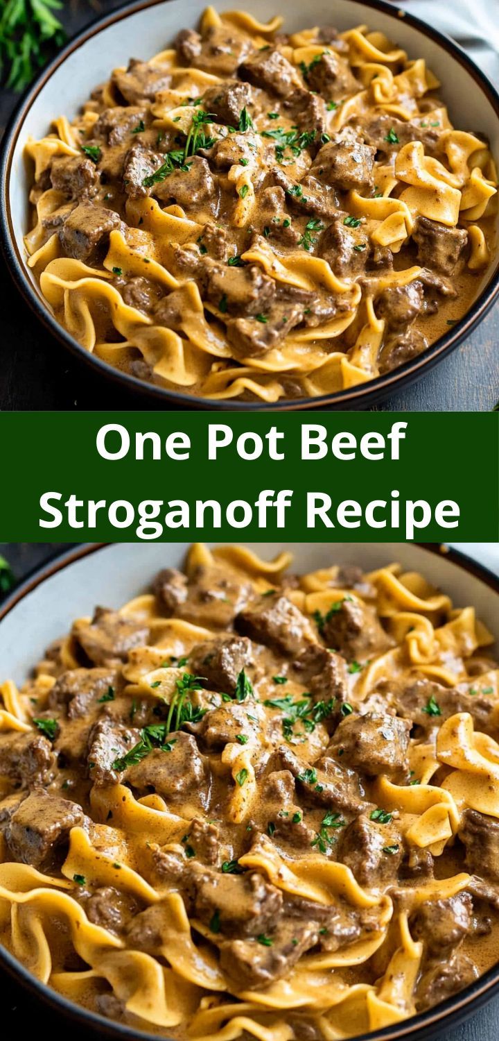 one pot beef stroganonoff recipe in a bowl