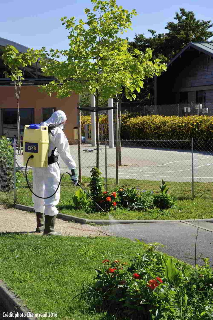 a person in a white suit spraying pesticides on a lawn with trees and bushes