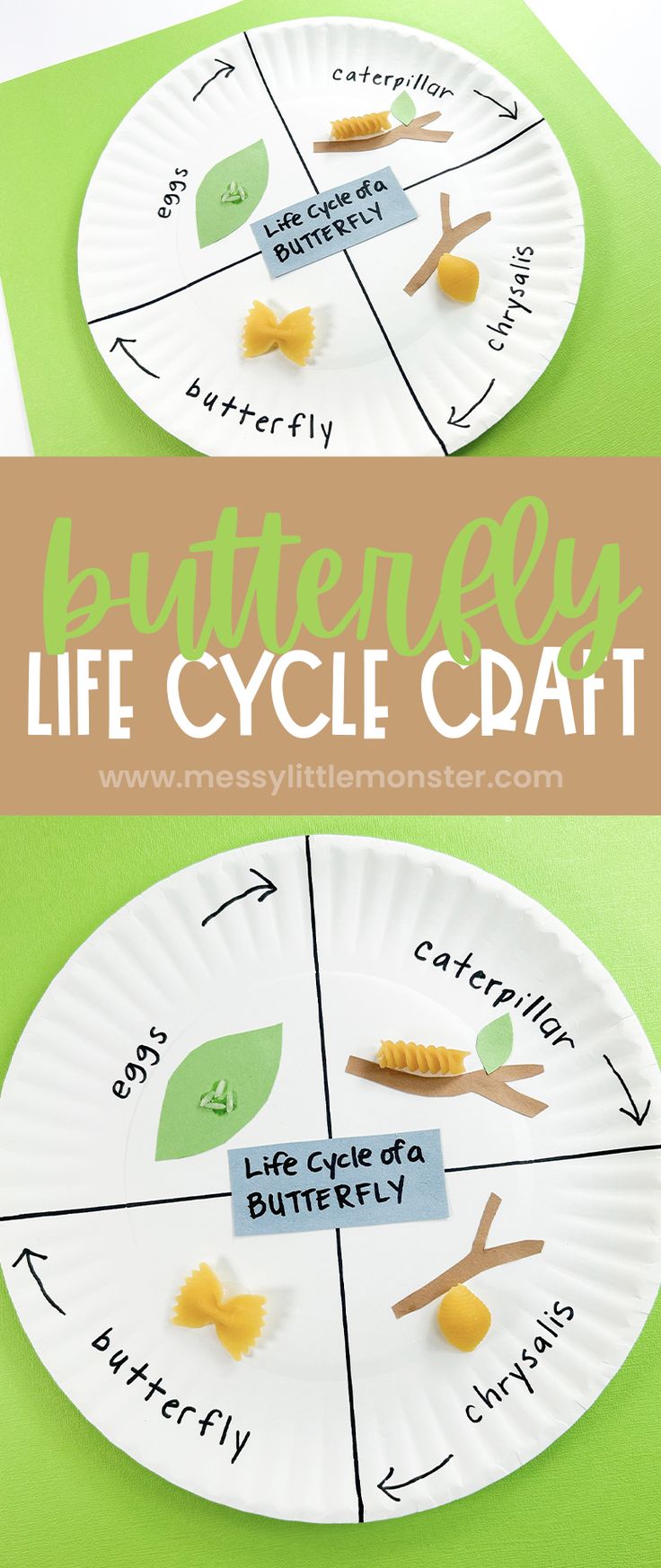 paper plate butterfly life cycle craft for kids