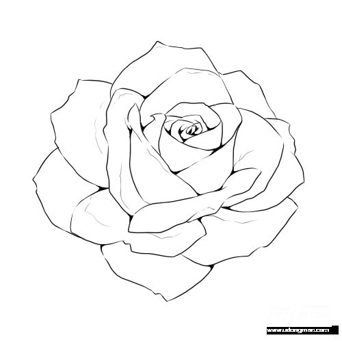 a black and white drawing of a rose on a white background with the words, how to draw a rose