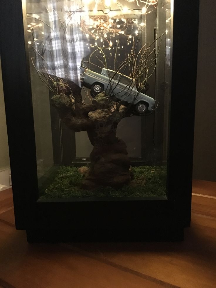 a car in a glass case on top of a wooden table next to a tree