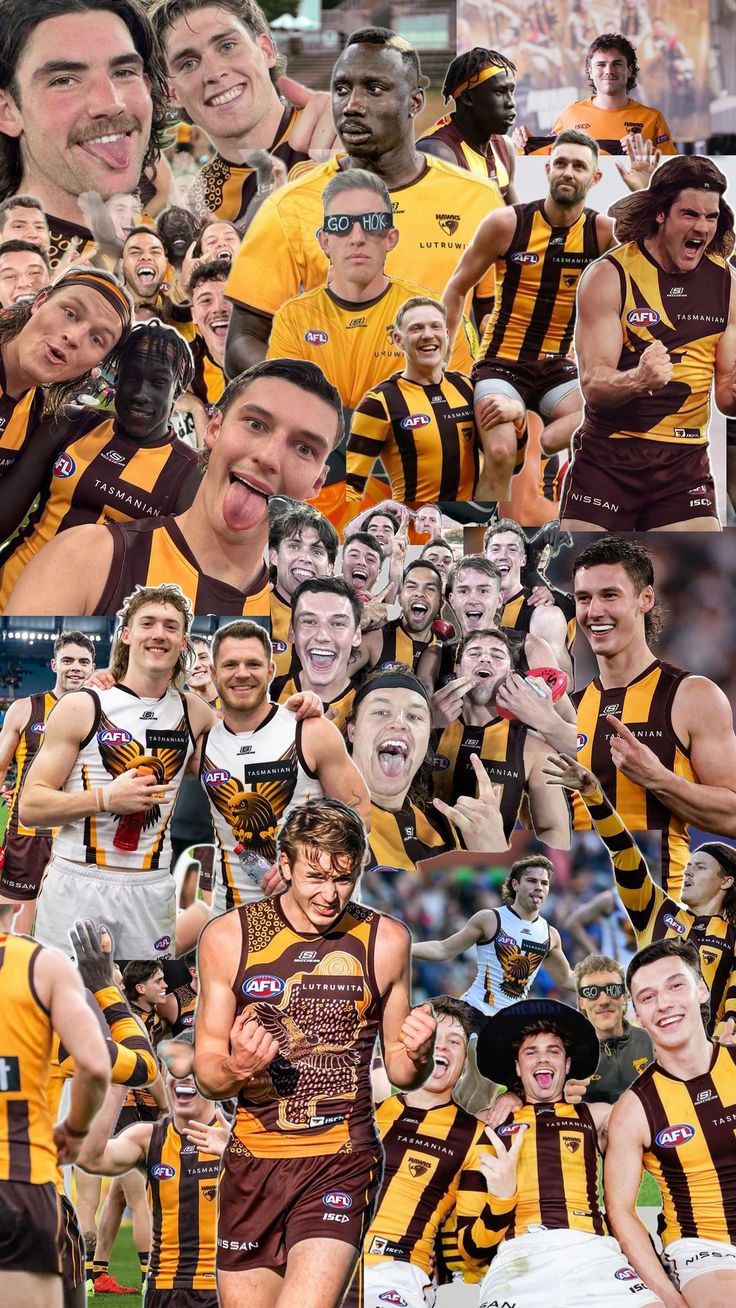 This is a collage of the AFL team Hawthorn 💛🤎💛 Hawthorn Hawks, Best Club, Hawks, Collage