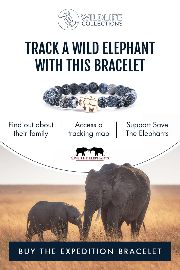 an elephant and its baby are shown in this ad for the wildlife bracelets collection