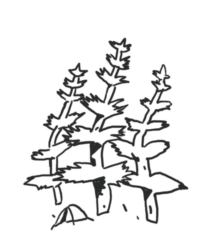 a black and white drawing of some trees