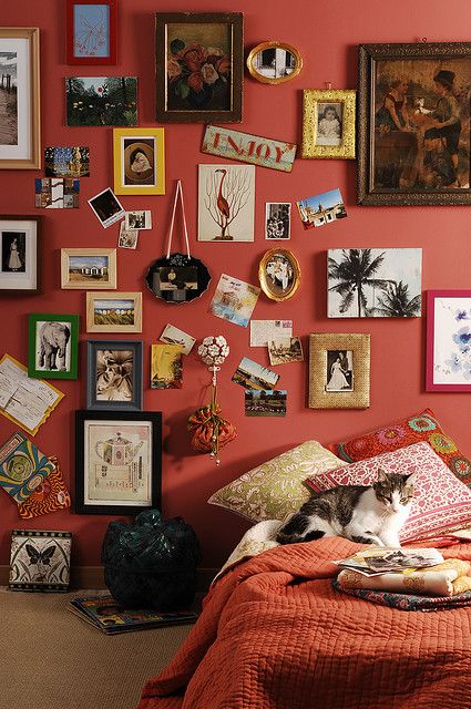 a cat laying on top of a bed in front of a wall covered with pictures