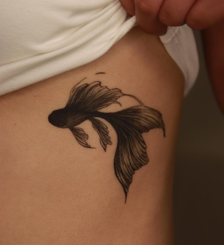 Betta Fish Tattoo, Betta fish tattoo design, women's Betta fish tattoo, Betta fish tattoo designs, simple Betta fish tattoo, watercolor betta fish tattoo, Betta fish tattoo small, black Betta fish tattoo, small Betta fish tattoo, realistic betta fish tattoo, betta fish tattoo simple, betta fish tattoo drawing, betta fish tattoo ideas, red betta fish tattoo, geometric betta fish tattoo, Betta fish tattoo traditional,Female betta fish Tattoo,Betta fish tattoo outline,Siamese fighting fish Tattoo Fish Tattoo Drawing, Black Betta Fish, Fish Tattoo Traditional, Tattoo Ideas Red, Red Betta Fish, Betta Fish Tattoo, Fish Tattoo Design, Female Betta, Tattoo Watercolor