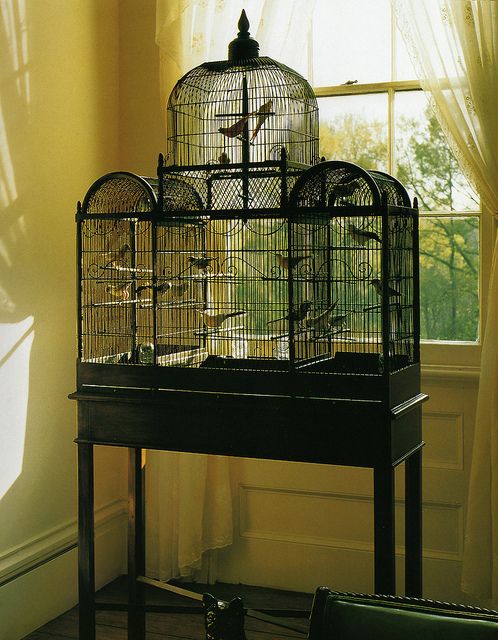 a bird cage sitting on top of a table next to a window