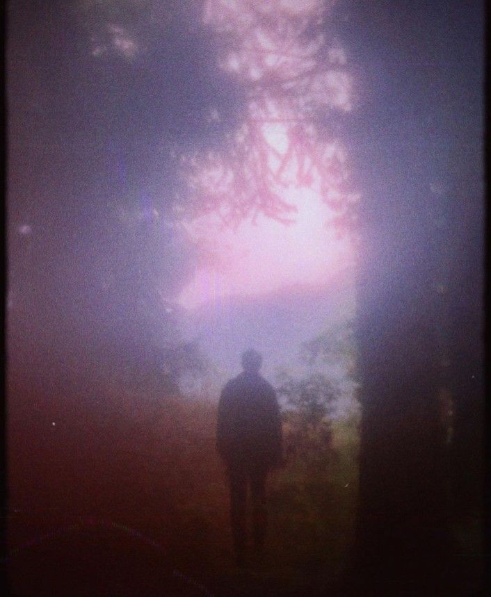 a person standing in front of a tree on a foggy day with the sun behind them