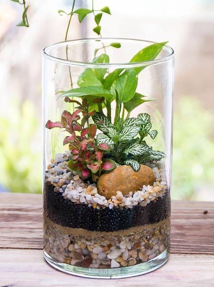 a glass vase filled with plants and rocks on top of a wooden table next to a window