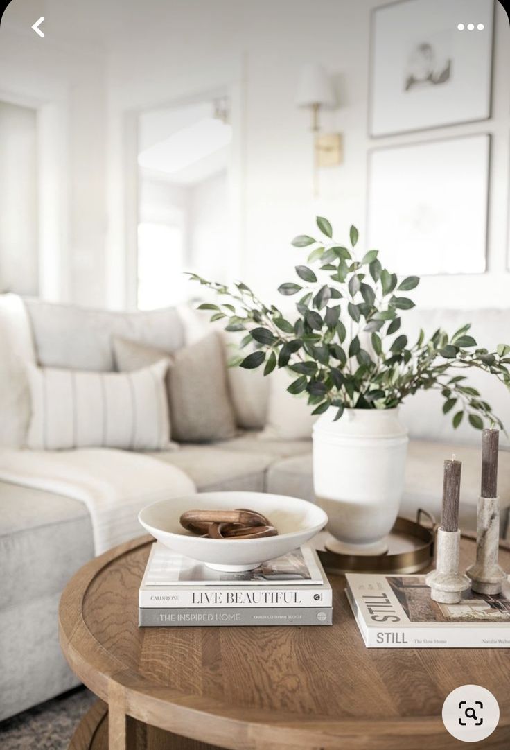 a living room with a couch, coffee table and potted plant on top of it