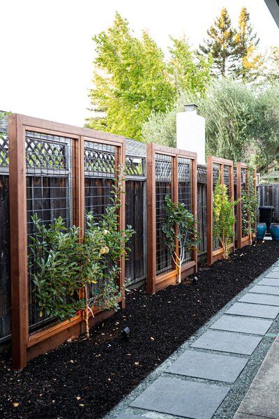 a row of wooden fenced in plants next to a walkway with black mulch