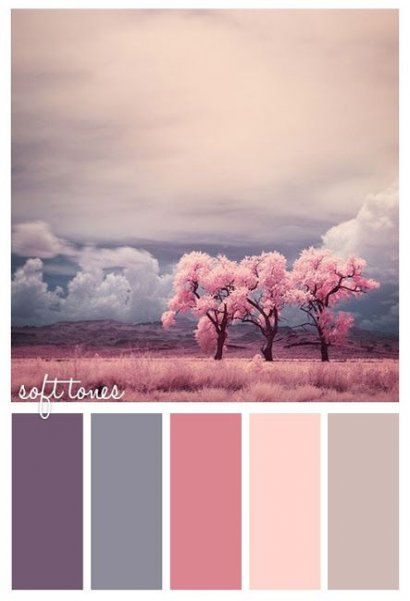 two pink trees in the middle of a field with cloudy skies above them and text that reads soft tones