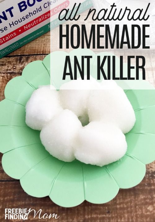 an image of homemade anti - killer with text overlay