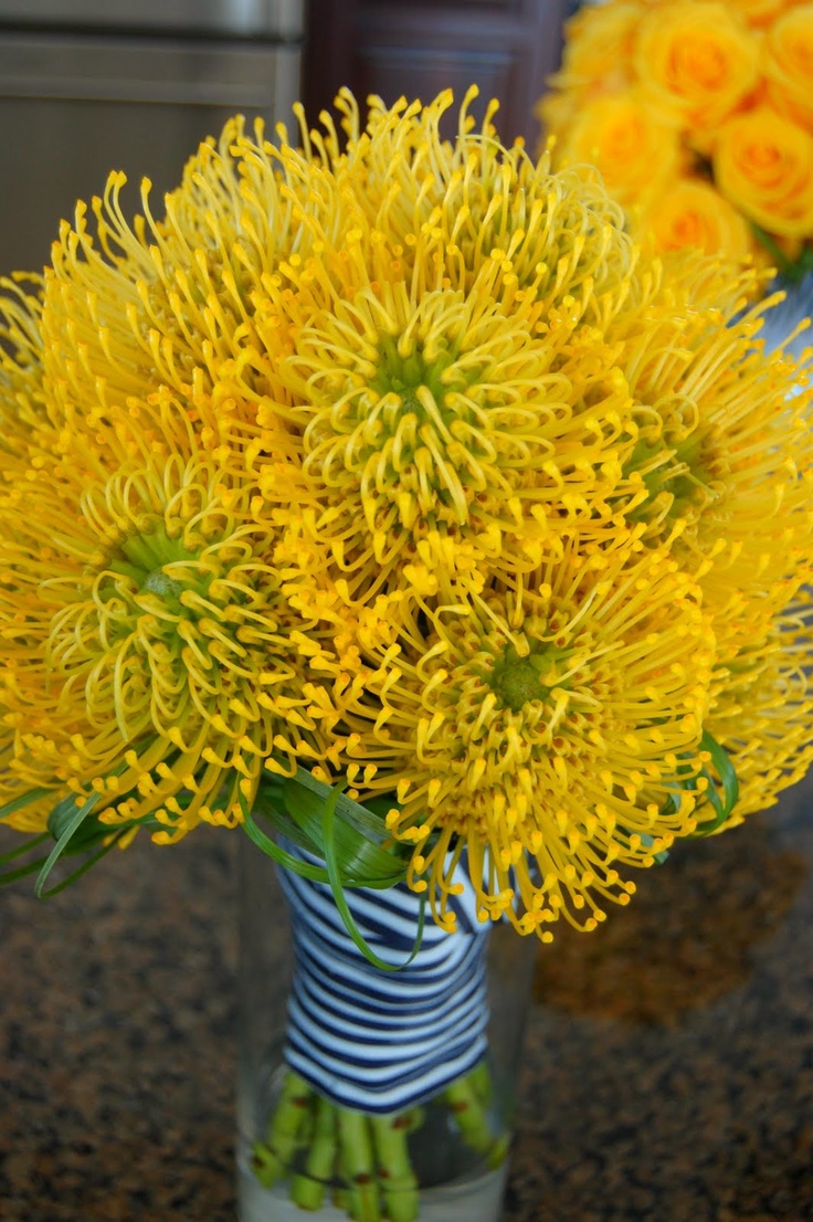 yellow flowers are in a glass vase on the counter top with blue and white stripes