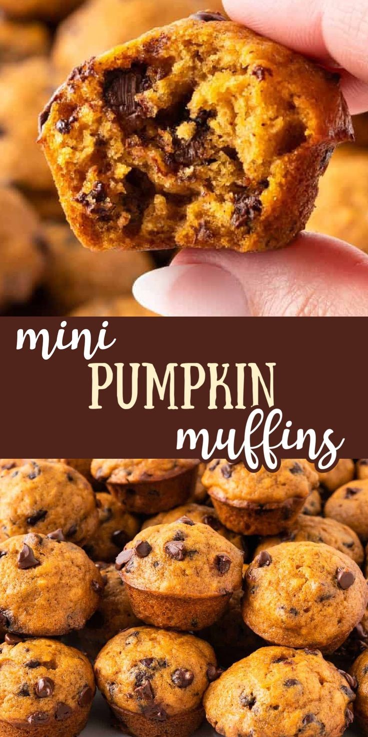 mini pumpkin muffins with chocolate chips on top and in the background, there is a hand holding one