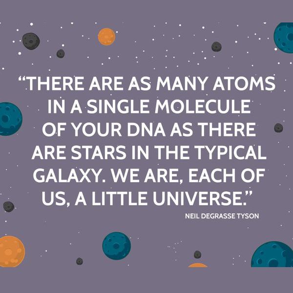 a quote from neil degrasse on the science fiction series,'there are as many atoms in a single molecule of your dnas there are stars in the typical galaxy, we are each of us,