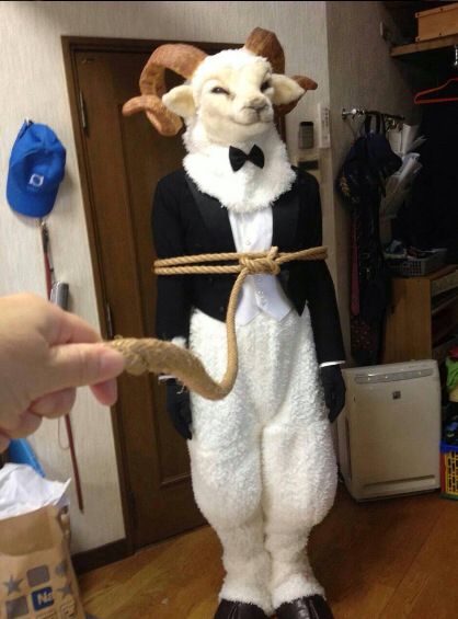 a person in a sheep costume is holding a rope and pointing to the goat head